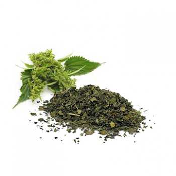 Nettle Dry Extract | Iran Exports Companies, Services & Products | IREX